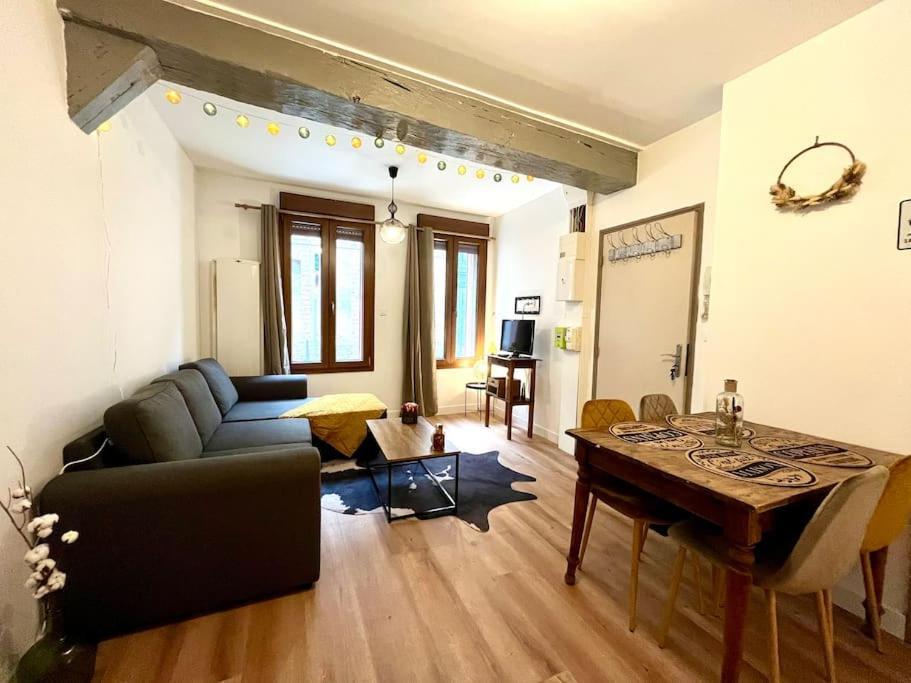 Le Countryside- Hyper Centre Apartment Sens Luaran gambar